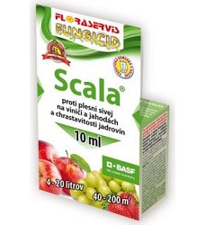 SCALA 10ml