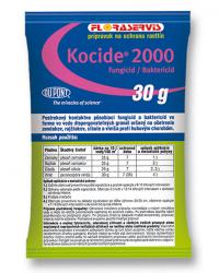 KOCIDE 2000 30g        