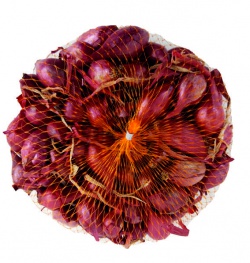 CIBULA SADZ. CERVENA KARMEN 250g