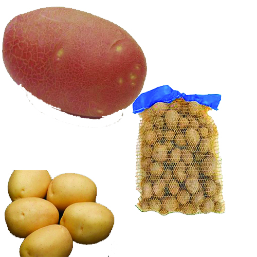 Substraty, kôry, štiepky