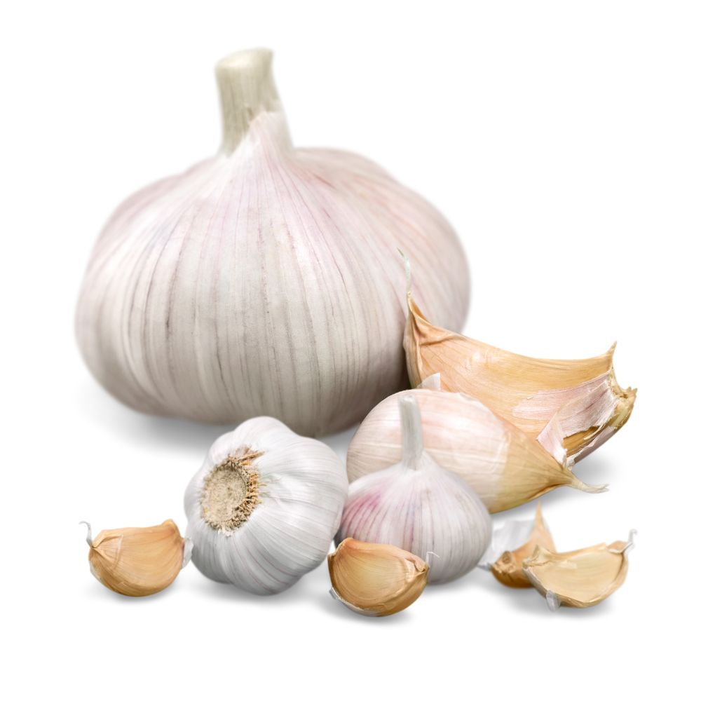 Cesnak FLAVOR 250g nepal