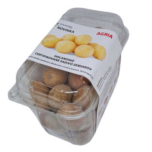 ZEMIAKY minisadba rozne odrody